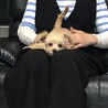 あいびょうか