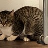 の写真