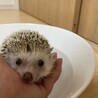 の写真