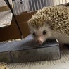 の写真