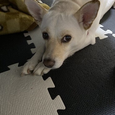 の写真