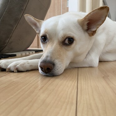 の写真