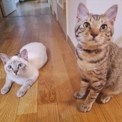 「2度目ワクチン完了」サムネイル2