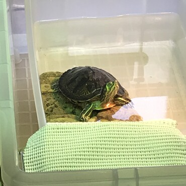 餌ですかね？
