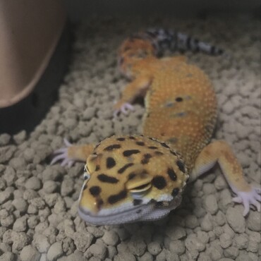 気持ちよさそう