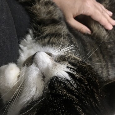 の写真