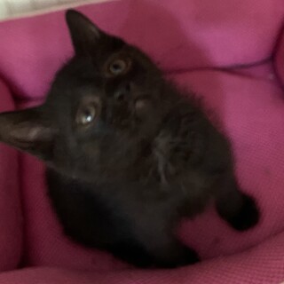 とにかく元気いつもご機嫌なモグちゃん