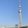 さまのす さん