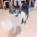 おっとり甘えた仁八くん
