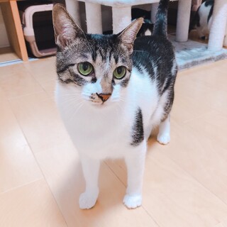 おっとり甘えた仁八くん