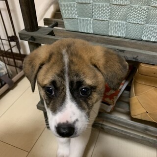 生後２か月前後