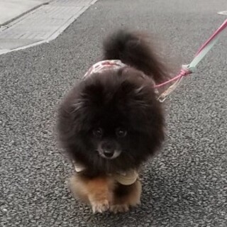 元気はモリモリ！一途に愛します♡♡メルモちゃん