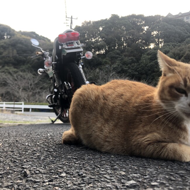 カズキでのカバー写真