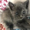 おめめパッチリ