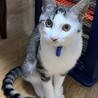 のぶ0811