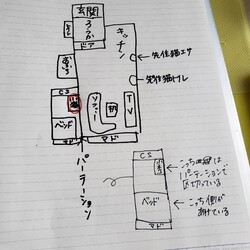 先住猫と子猫のこと