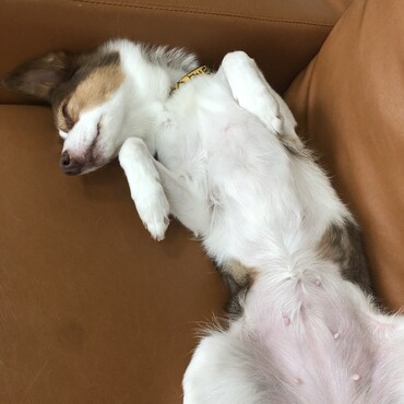 の写真