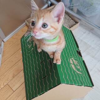 元気いっぱいサブロー君！