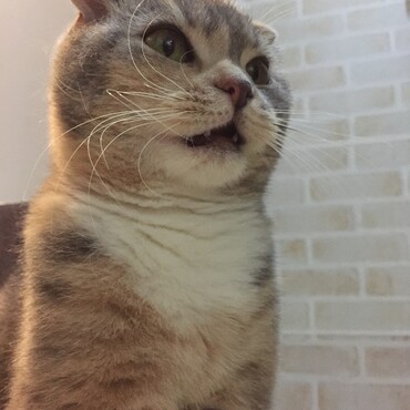 の写真