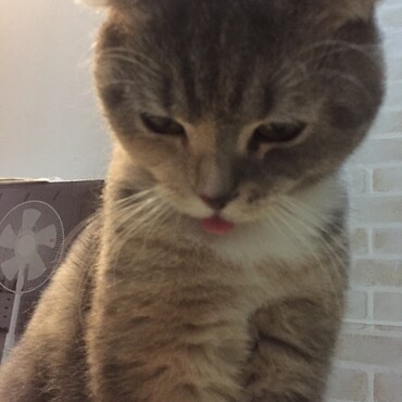 の写真