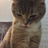 の写真