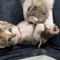 素敵な家族に出会えました♡