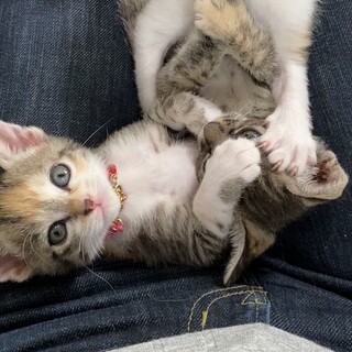 素敵な家族に出会えました♡