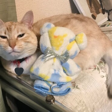 新しいおきにいりの場所みーつけた！