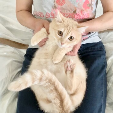 母と