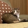 全体写真1  うに