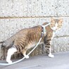全体写真2