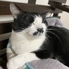 ちこちゃん！