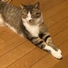 寝顔