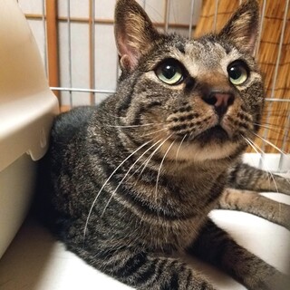 甘えん坊君ですよ