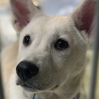 《びーたんのずっとの家族募集中》