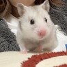 とんとろ107 さん