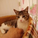 甘えん坊すぎ！あかねちゃん１才