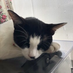 6回目のフロントライン