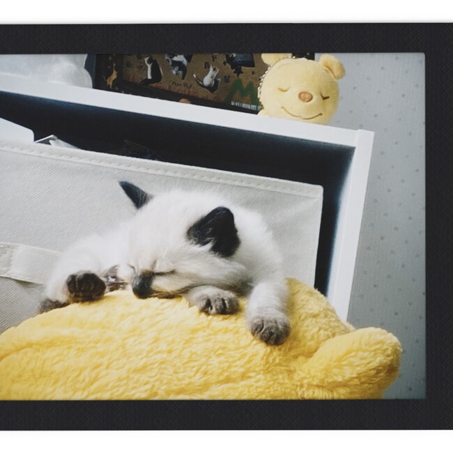 エマ04ルカのカバー写真