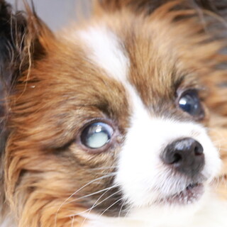 足骨折のまま何年も過ごしていました。