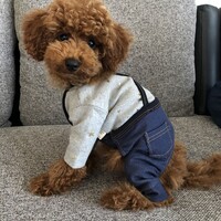 前田ムギ