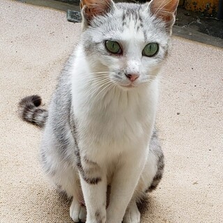 家族になってください