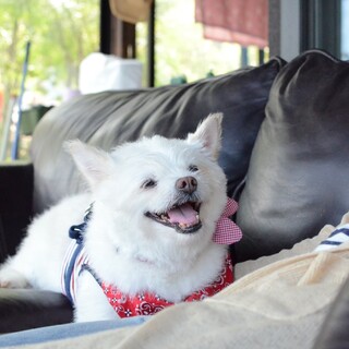 アイーン顔さえもキュートな☆シムシムちゃん♪