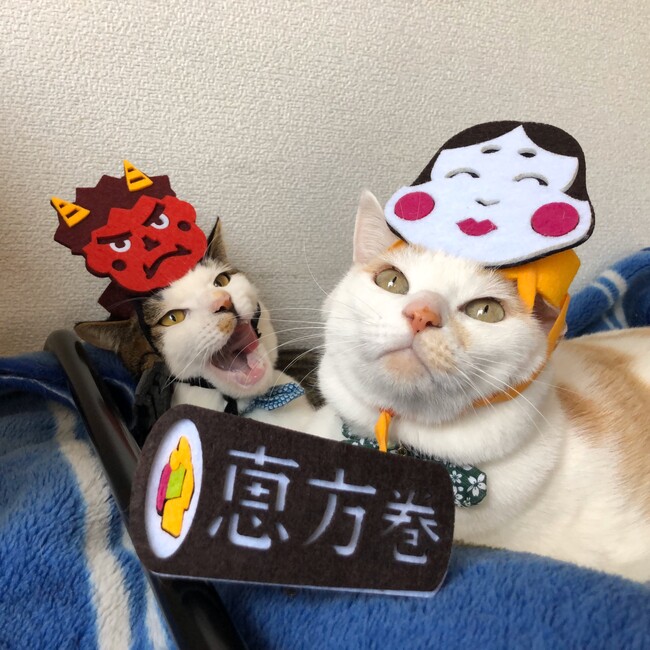 あこちゃいのカバー写真