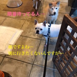 雨の日のお散歩