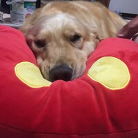メアリー