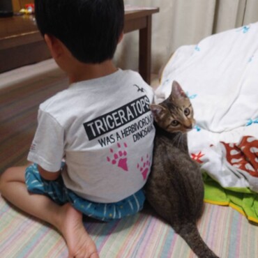 ニャビィの写真
