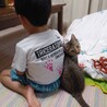 の写真