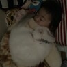 na_chin0117