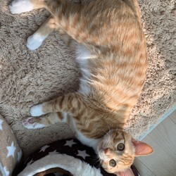 東西南北シリーズ